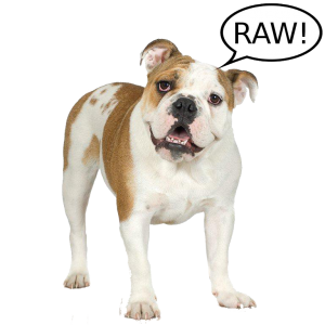 raw-pet-food2-300×300
